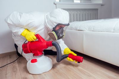 Smoke Odor Treatment
